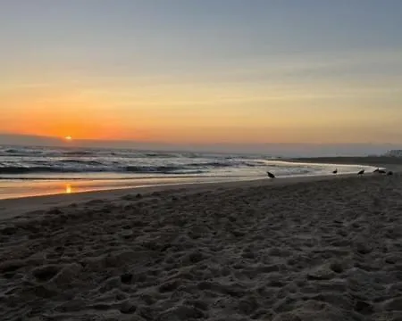 Sunny 2 Bdr By Lovelystay